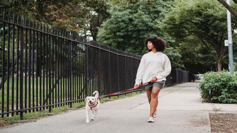 Woman walking dog near park